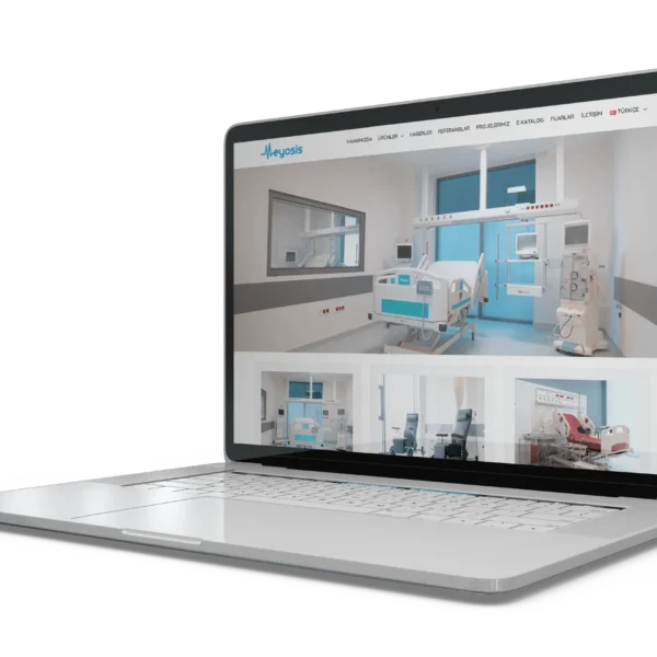 web site tasarım referans meyosis